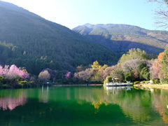 -蝴蝶泉公园