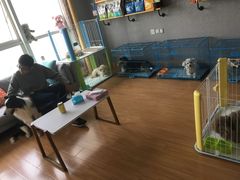 -犬也宠物造型(恒茂国际都会商业街店)