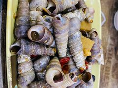 和味炒丁螺-贞姨美食·老字号海鲜大排档