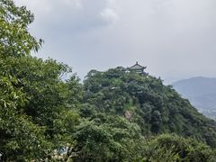 -莫干山风景区