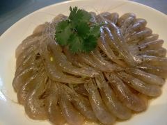 -大队长大灶鹅