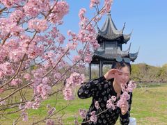 -梁鸿国家湿地公园