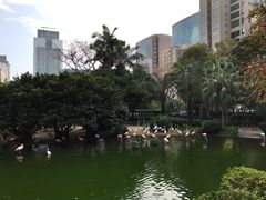 -九龙公园