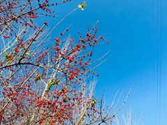 -永定河休闲森林公园