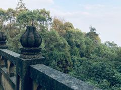 -南山植物园
