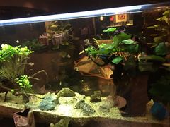 -海天楼中餐厅(吴宫泛太平洋酒店)