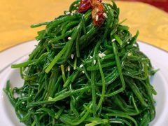 炝拌草原沙葱-德乐海蒙餐