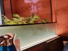 -巡湘记·地道湖南菜(活力城店)