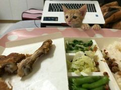 -上海枇杷烤鸭(城乡贸易中心店)