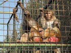 -南京金牛湖风景区