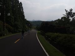-宜兴龙背山森林公园