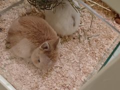 -龙猫仔乐园(惠福东路店)