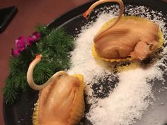 -梧桐餐厅(泉城路店)