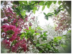 -元大都城垣遗址公园