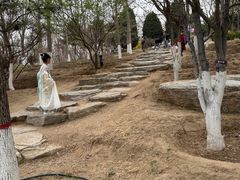 -燕郊植物园
