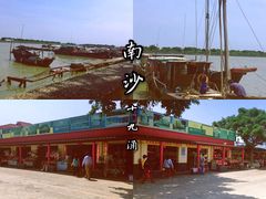 -大湾区中央湿地公园-十九涌