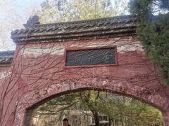 -淄博聊斋城景区