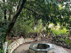 -广西壮族自治区药用植物园