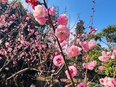 -九华山公园