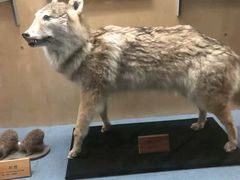 -陕西自然博物馆