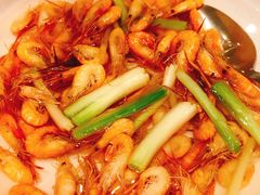 -金陵新城饭店