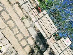 -胡里山炮台