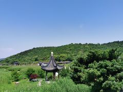 -龙寺生态园