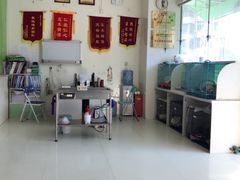 -瑞鹏宠物医院·微创内窥镜·骨外科·牙科(翠竹分院)