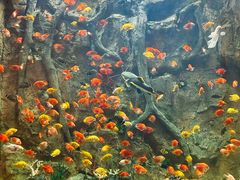 -杭州开元森泊度假乐园