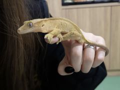 -藦茜花园宠物主题亲子互动体验馆(国顺东路店)