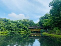 -济州森林小火车生态公园
