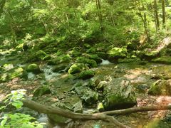 -关门山森林公园