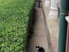 -北京动物园-畅观楼