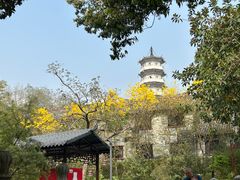 -国恩寺