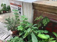 -香港大学
