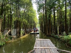 -尚湖风景区