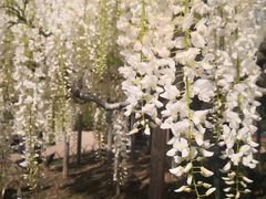 -牛かつもと村(上野店)