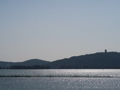 -贡湖湾湿地公园