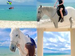 -玫瑰海岸文化旅游度假区