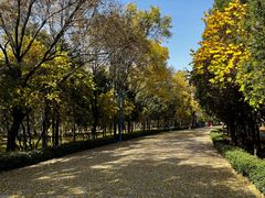 -森林公园(尖草坪区)