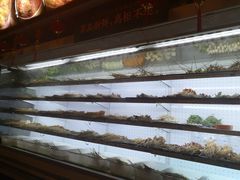 -镇江龙·火锅串串(武侯祠店)