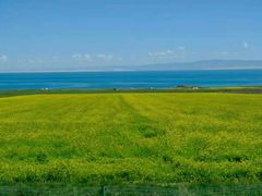 -青海湖国家重点风景名胜区