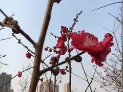 -重庆彩云湖湿地公园