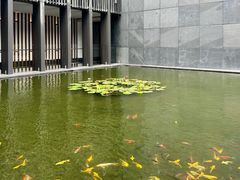 -三亚太阳湾柏悦酒店