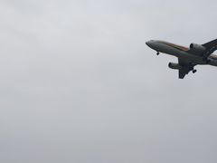 -空港花田景区