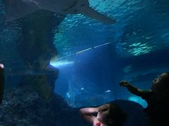 -暹罗海洋世界