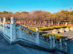 -观潮胜地公园