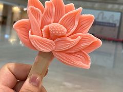 -宁夏博物馆