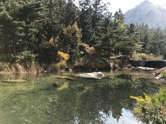 景点-九龙池景区