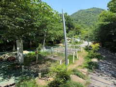 -杭州少年儿童公园
